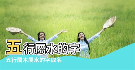 水行字|康熙字典五行屬水的字 共2031個